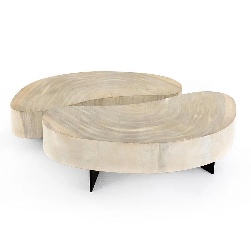 Avett 2-Piece Coffee Table