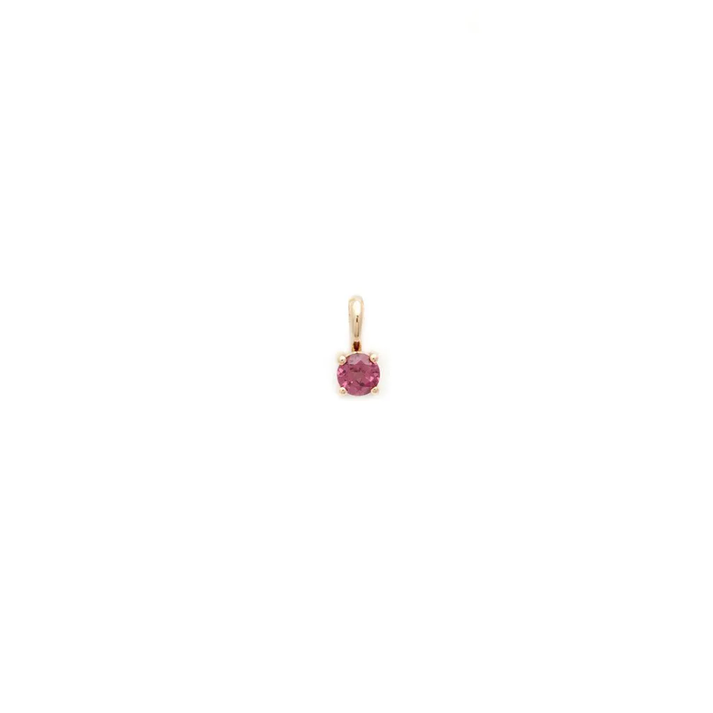 Birthstone Charm | Gold & Ruby