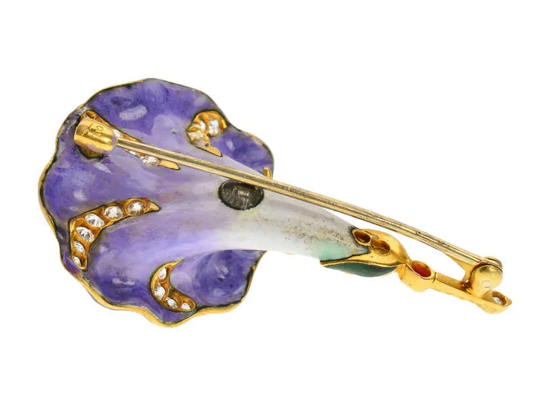 Enamel Convolvulus Morning Glory Brooch