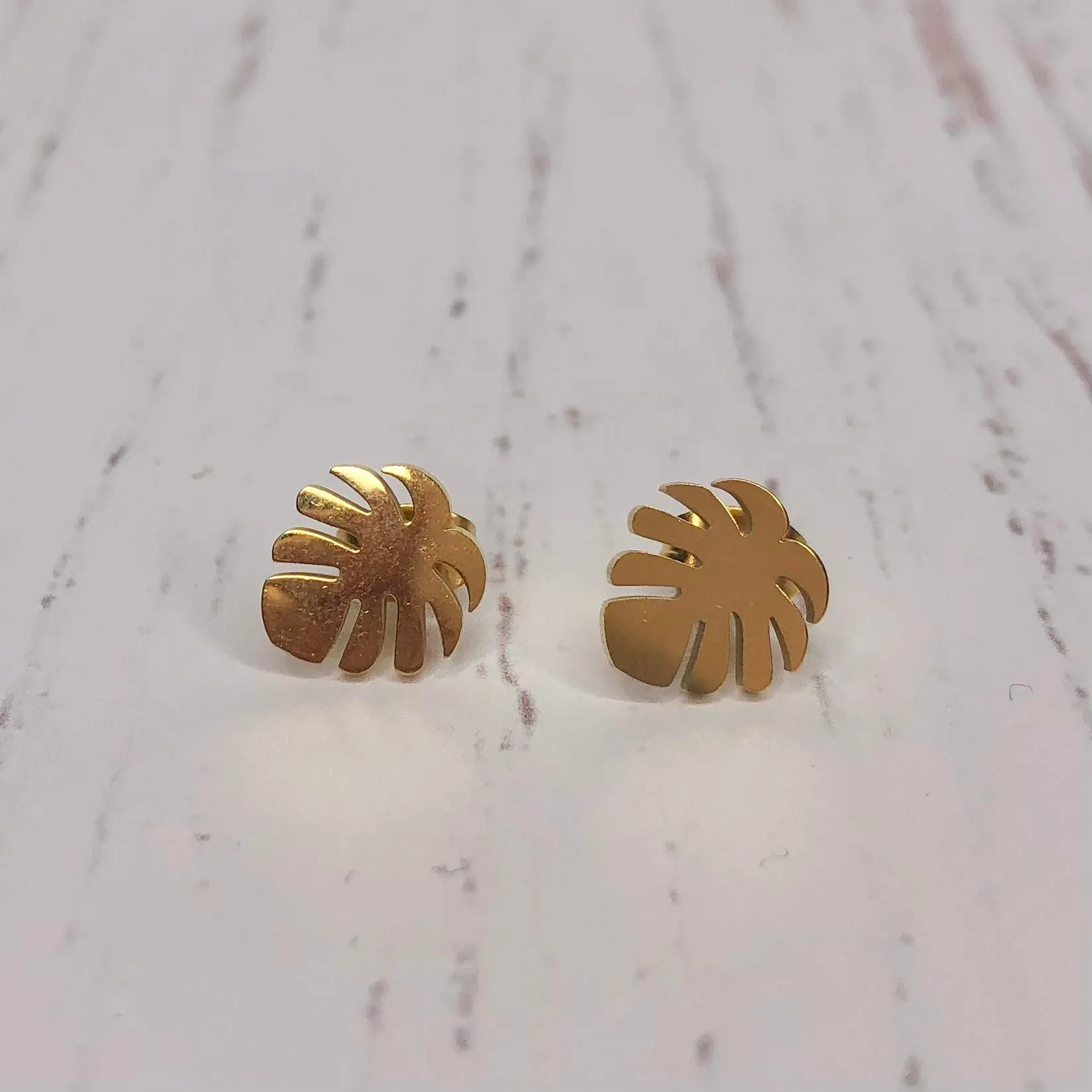 Stainless Steel Earrings - Monstera